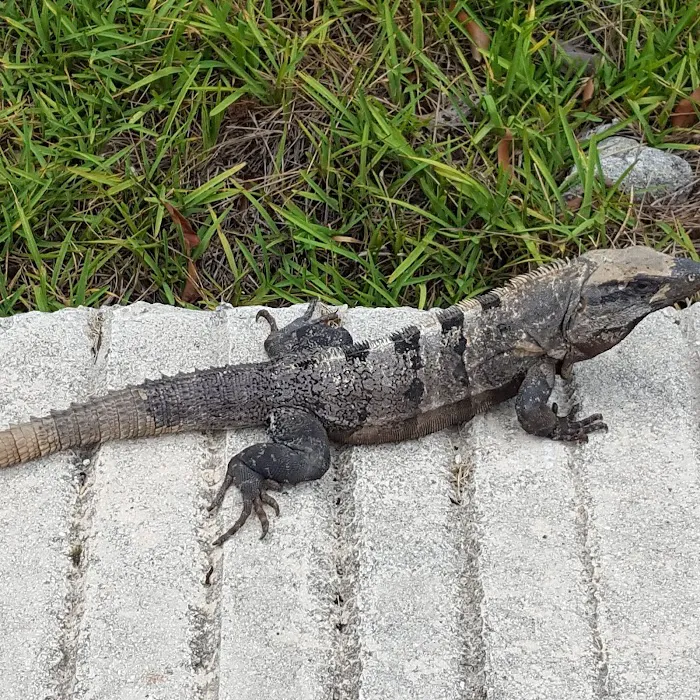 Ernies Acres Campground Picture 4