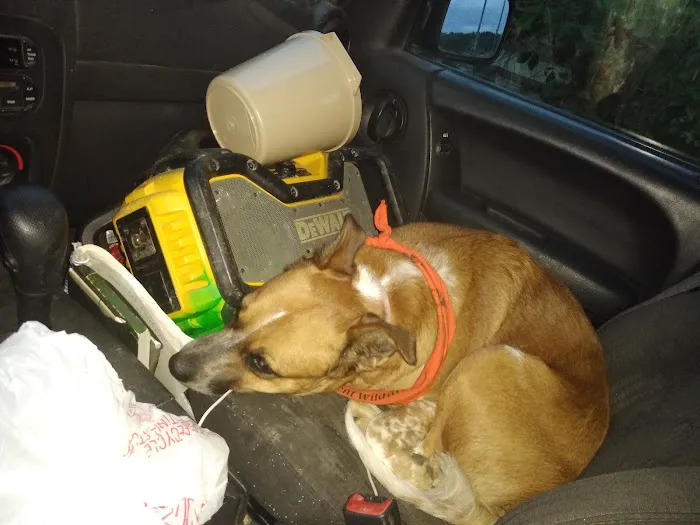 Ernies Acres Campground Picture 8