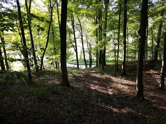 Saffron Valley Campground & Cabins, LLC Picture 3