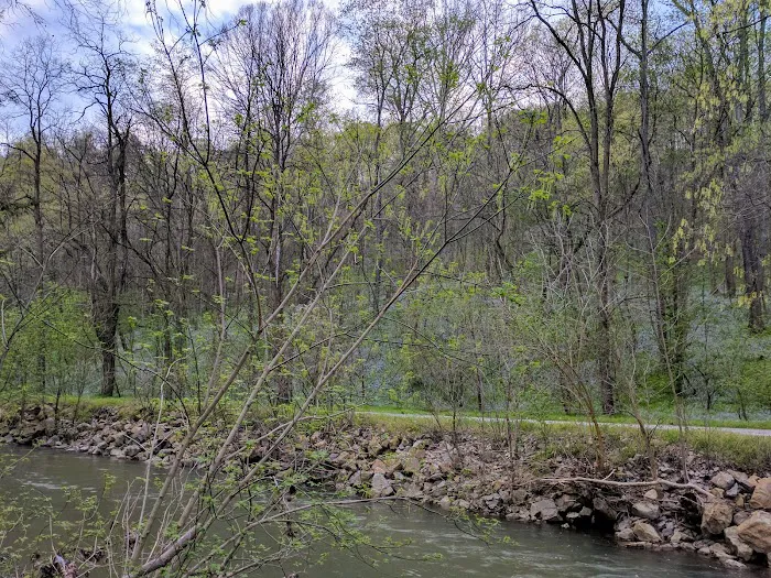 Camp Giscowheco Picture 3