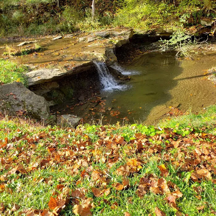 Creekside Camping, L.L.C. Picture 9