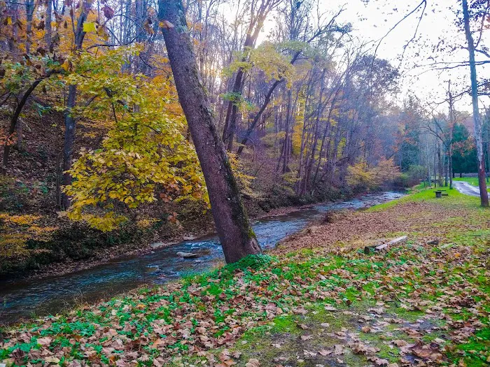 Creekside Camping, L.L.C. Picture 8