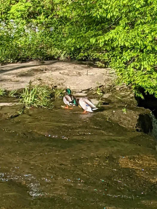 Creekside Camping, L.L.C. Picture 2