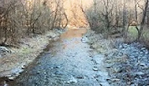 Creekside Camping, L.L.C. Picture 7