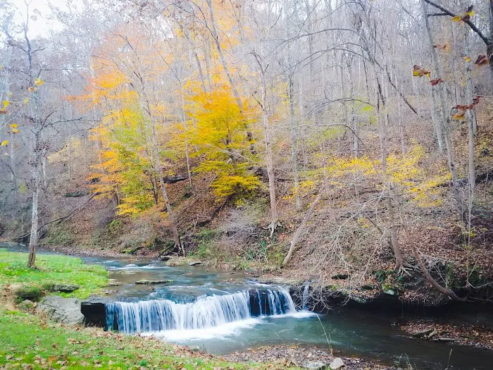 Creekside Camping, L.L.C. Picture 4