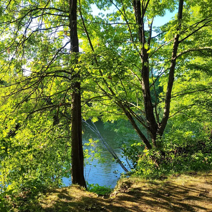 Shenango Campground Picture 10