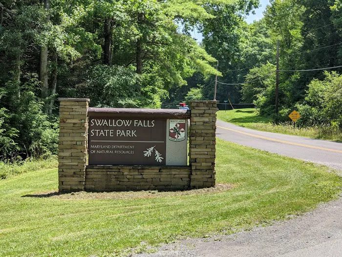 Swallow Falls Campground Picture 5