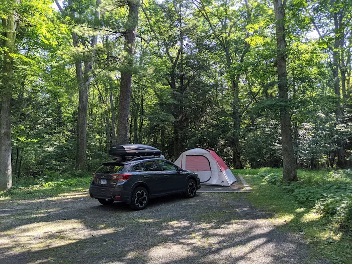 Swallow Falls Campground Picture 3