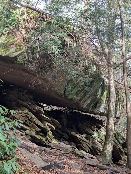 Swallow Falls Campground Picture 10