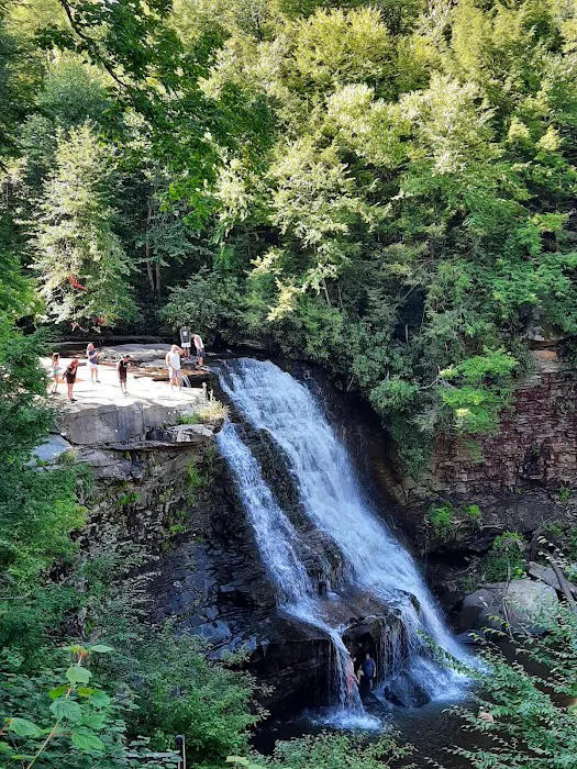 Swallow Falls Campground Picture 9