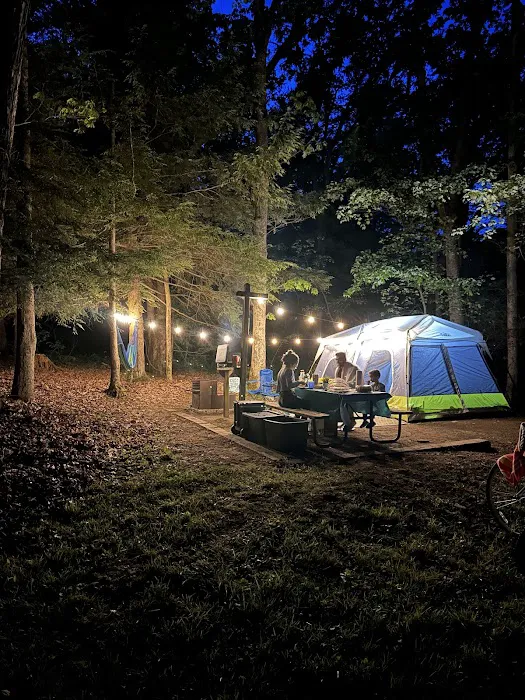 Swallow Falls Campground Picture 7