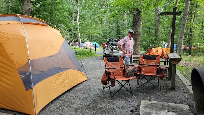 Swallow Falls Campground Picture 2