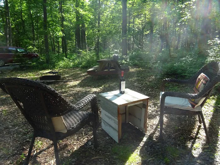 Wild Yough Glamping Huts Picture 5