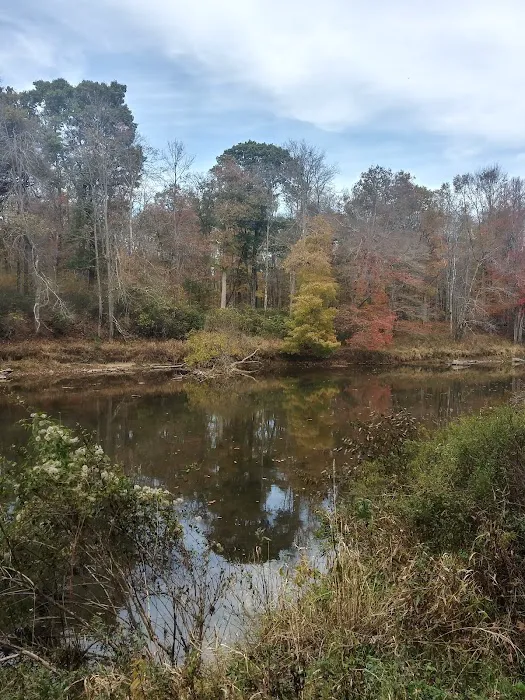 Wild Yough Glamping Huts Picture 6