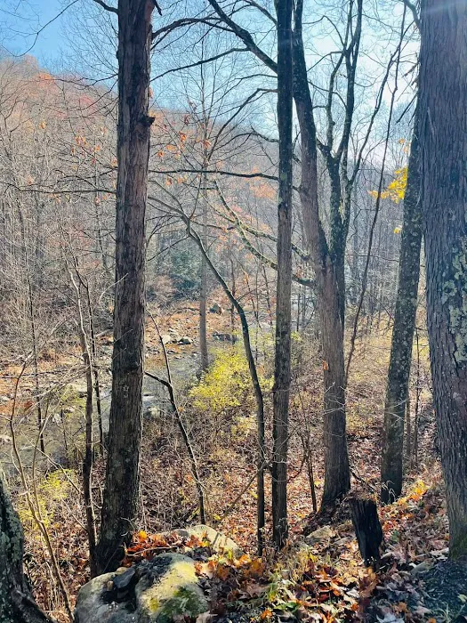 BAER Mountain Cabins on Abrams Creek Picture 6