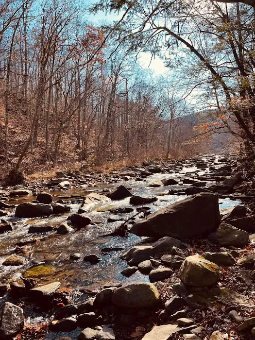 BAER Mountain Cabins on Abrams Creek Picture 3