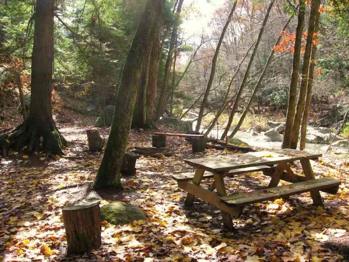 Abrams Creek Retreat & Campground Picture 9