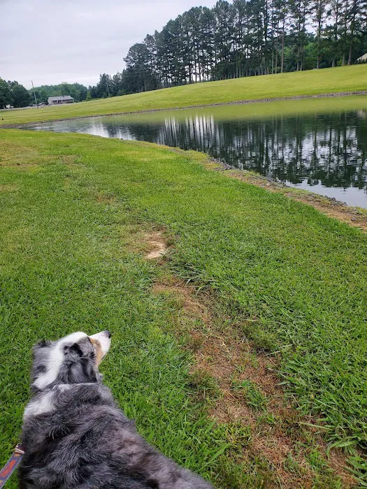 Amelia Family Campground Picture 7