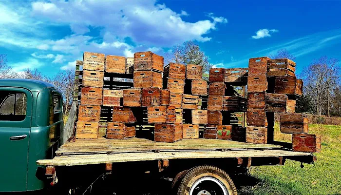 Camp Cove Creek Picture 7