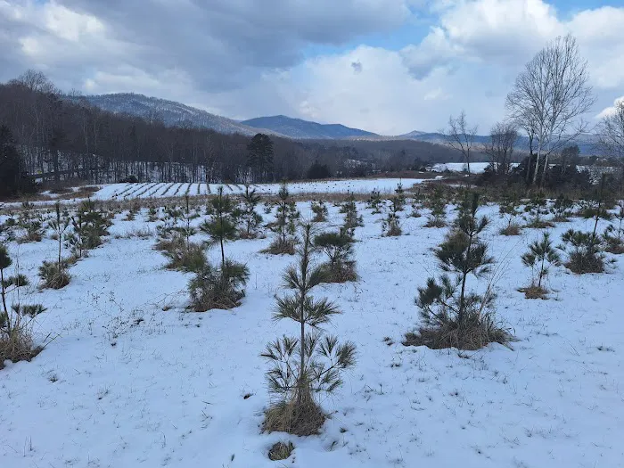 Camp Cove Creek Picture 3