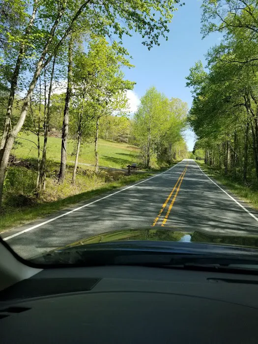 Camp Cove Creek Picture 5