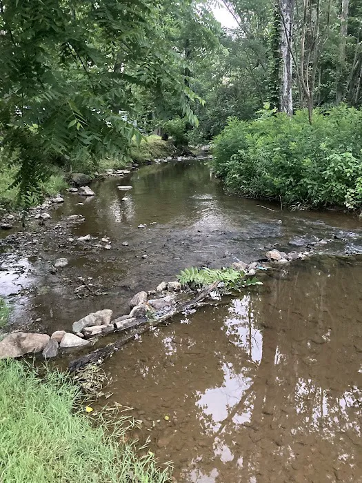 Misty Mountain Camp Resort Picture 7