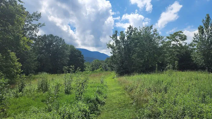 Devils Backbone Three Ridges Haven Picture 3