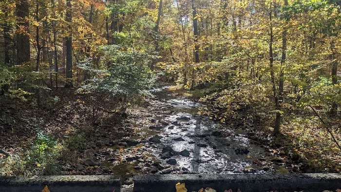 Sherando Lake Recreation Area Picture 6
