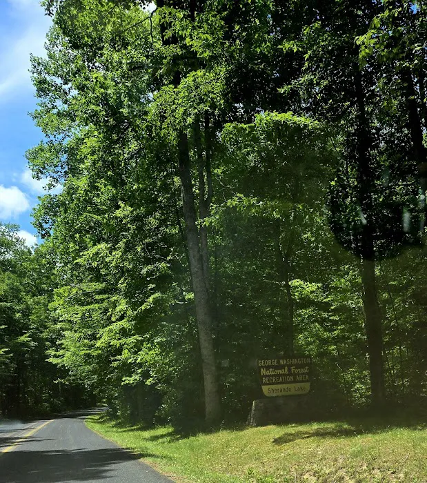 Sherando Lake Recreation Area Picture 10