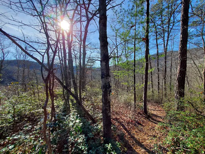 Sherando Lake Recreation Area Picture 9