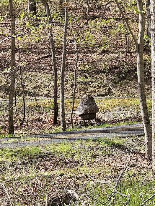 Sherando Lake Group Camp Picture 5