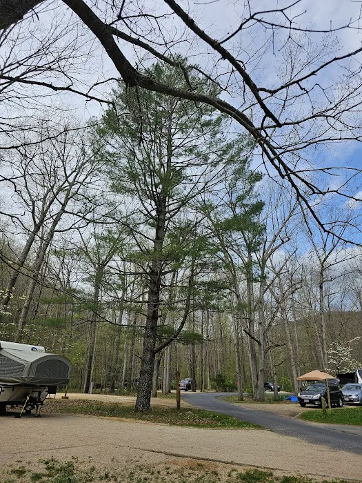 Sherando Lake Group Camp Picture 2