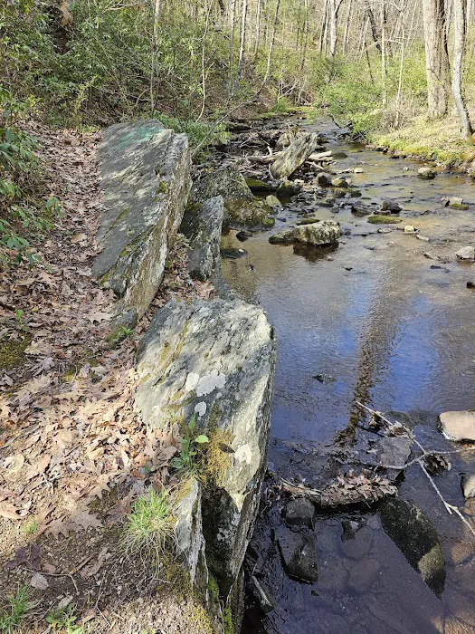 Sherando Lake Group Camp Picture 7