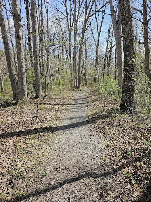 Sherando Lake Group Camp Picture 10