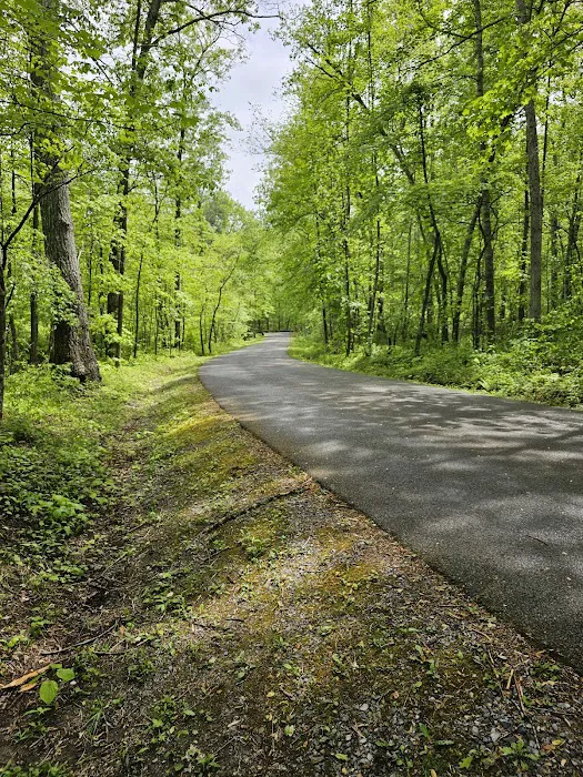 Sherando Lake Group Camp Picture 6