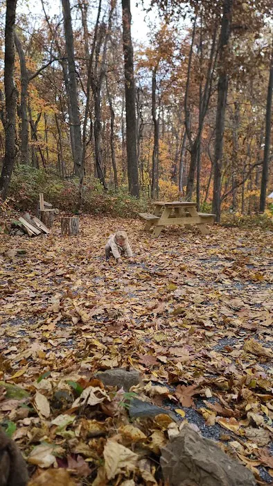 Love Ridge Campground Picture 4