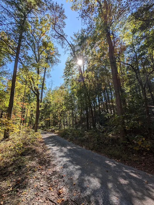 Raccoon Canyon Picture 1