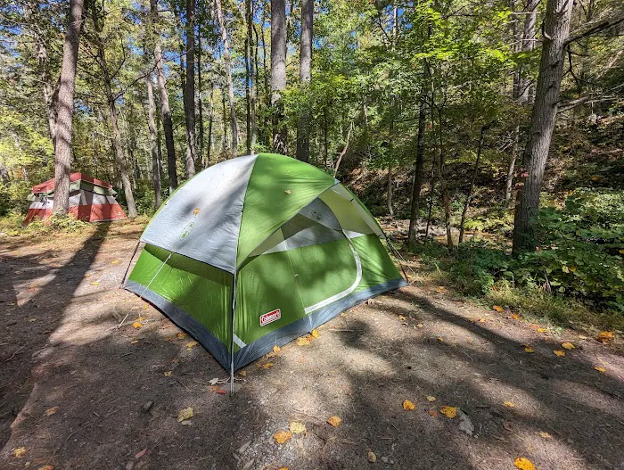 Raccoon Canyon Picture 6