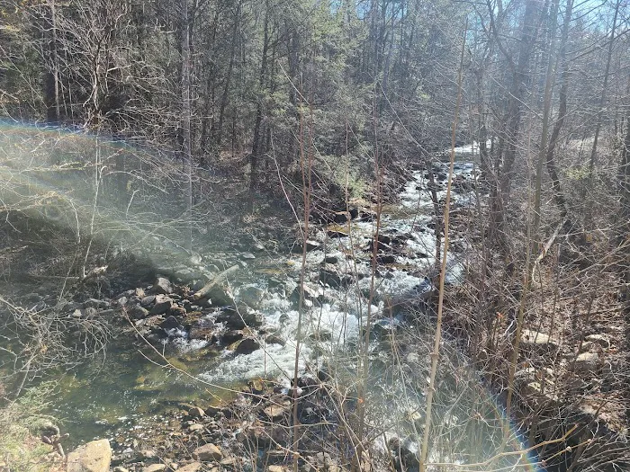 Raccoon Canyon Picture 2