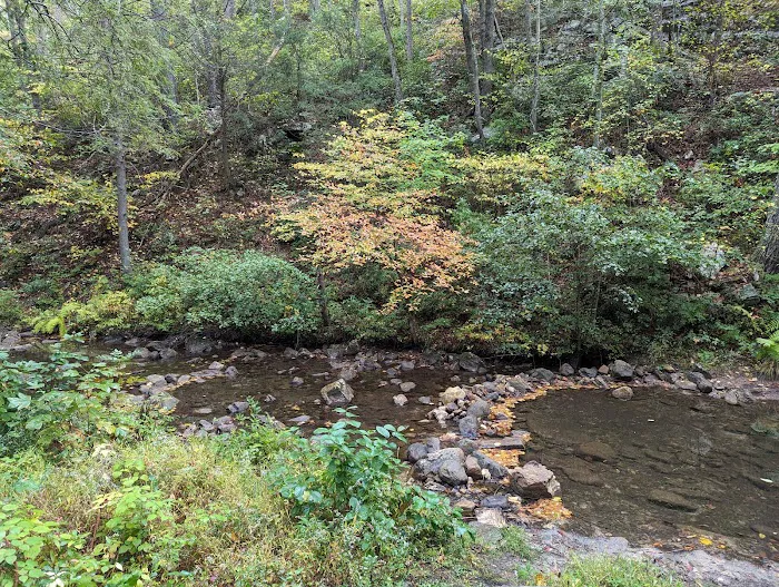 Raccoon Canyon Picture 3