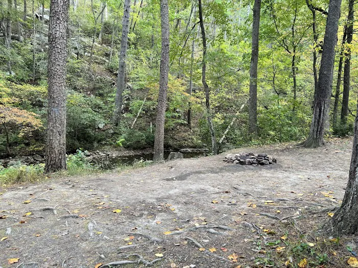 Raccoon Canyon Picture 8