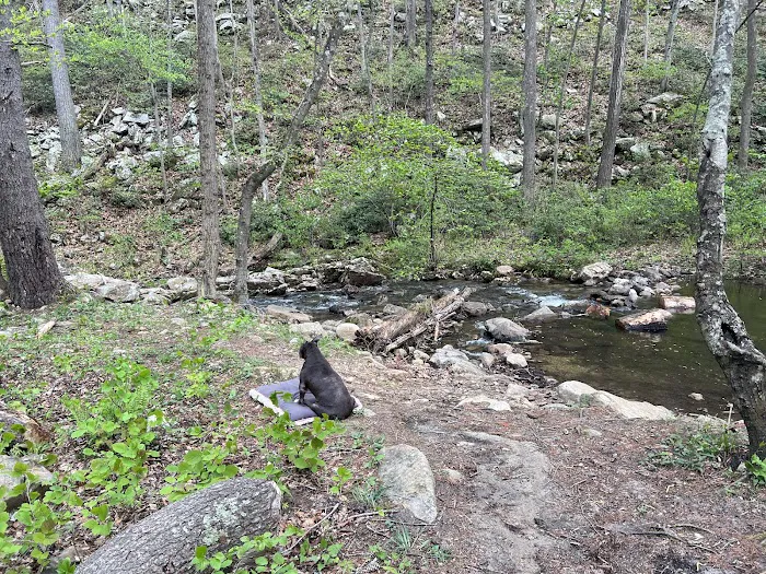 Two Hatchets Camp Site Picture 8