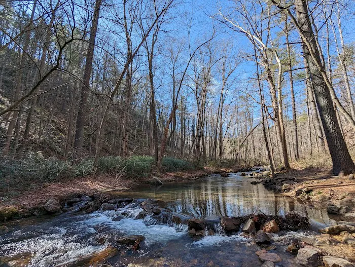 Two Hatchets Camp Site Picture 2