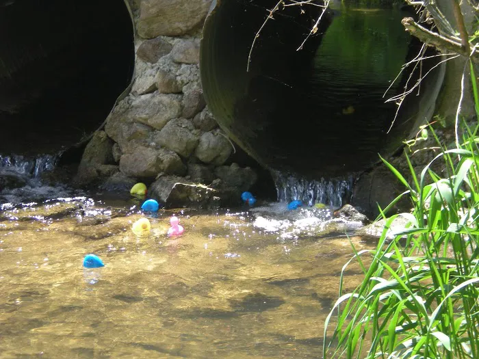Harrisonburg / Shenandoah Valley KOA Holiday Picture 1