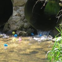 Harrisonburg / Shenandoah Valley KOA Holiday ico