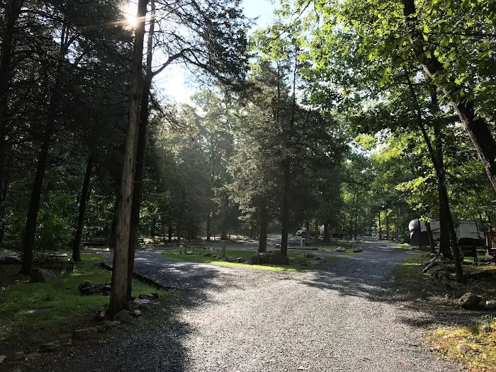Harrisonburg / Shenandoah Valley KOA Holiday Picture 8