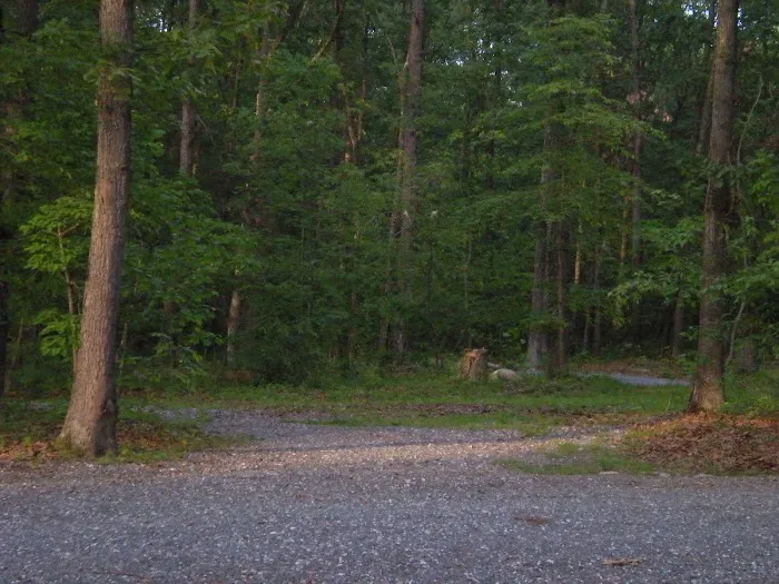 Harrisonburg / Shenandoah Valley KOA Holiday Picture 10
