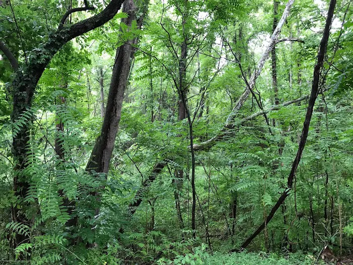 Harrisonburg / Shenandoah Valley KOA Holiday Picture 9