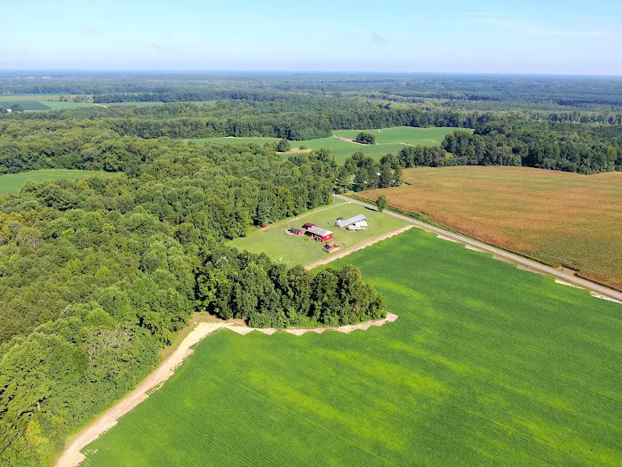 Thornton Farm Picture 8