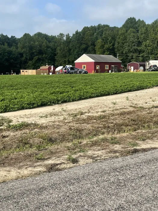 Thornton Farm Picture 5